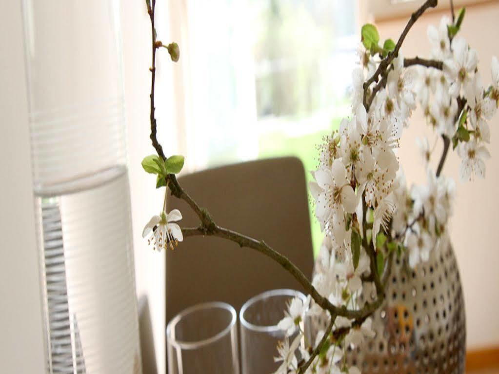 Boutique Hotel Villa Katharina Bamberg Dış mekan fotoğraf